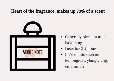 Navigating the Heart of a Fragrance: Understanding Middle Notes – Be ...
