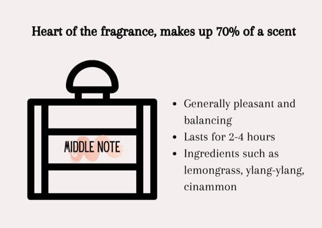 Navigating the Heart of a Fragrance: Understanding Middle Notes