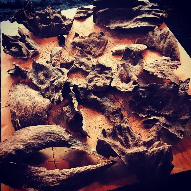 All about the Oud(h) note. What does it smell like? – Be Layered