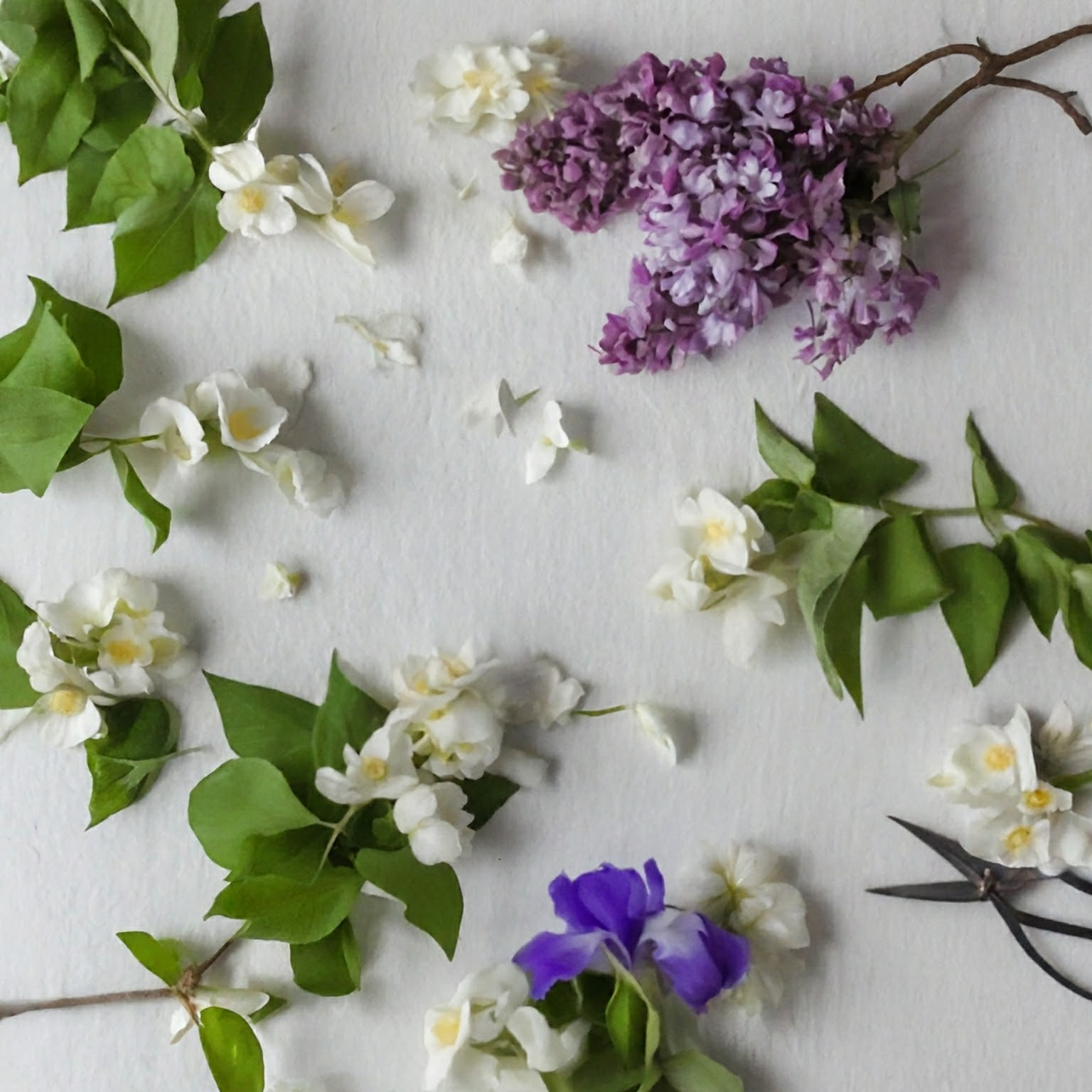 Danielle’s Milk Bath Secondary image