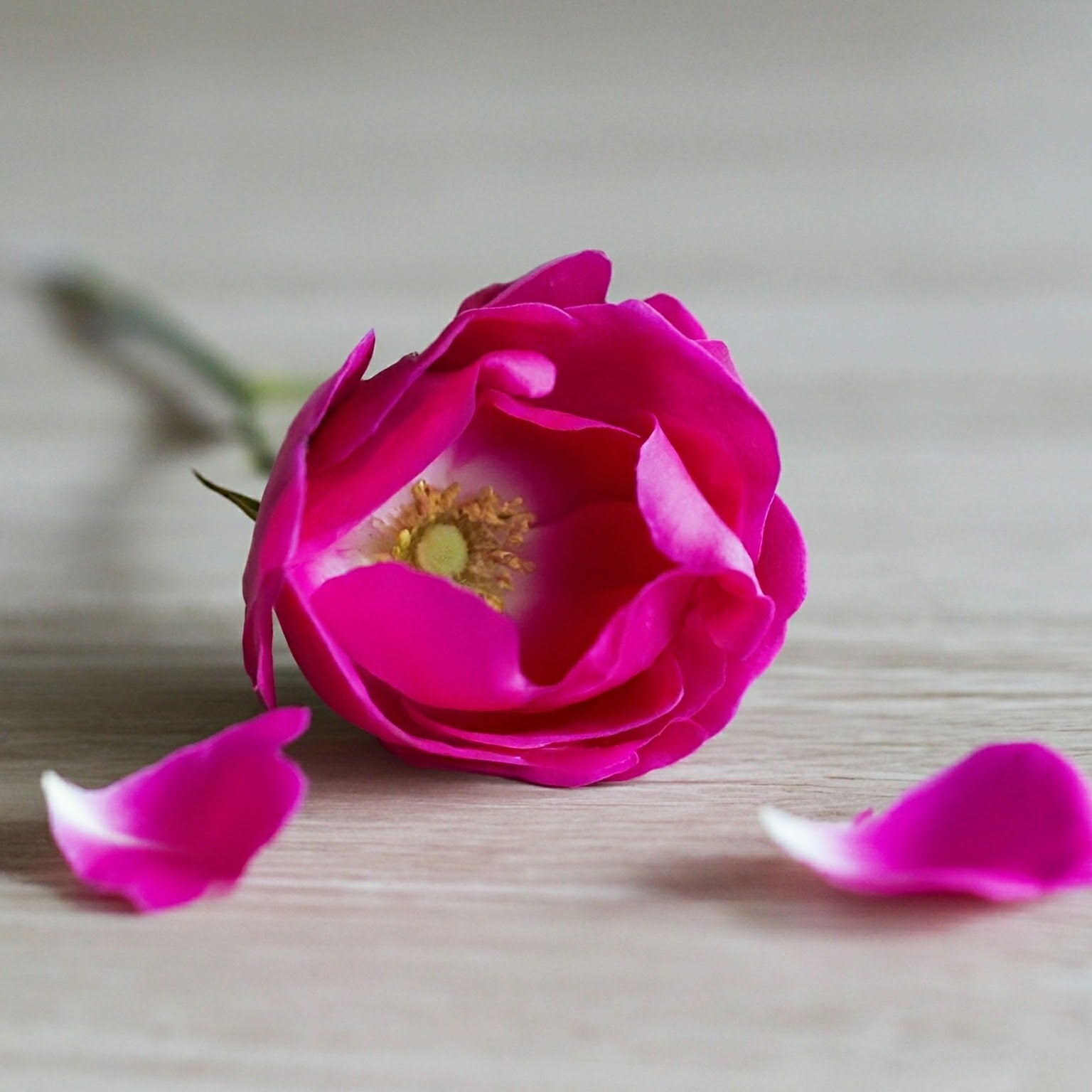 First Kiss Elixir Secondary image